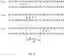 Fig. 43 - Device for manipulating charged particles