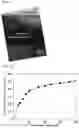 Fig. 06 - Method for manufacturing gallium nitride substrate using the multi ion implantation