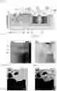 Fig. 02 - Power module and method for manufacturing power module