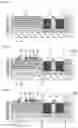 Fig. 07 - Power module and method for manufacturing power module