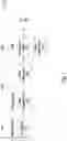 Fig. 02 - Integrated circuit filler and method thereof
