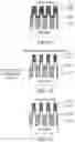Fig. 06 - Sub-fin removal for SOI like isolation with uniform active fin height