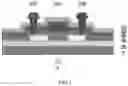 Fig. 02 - FLEXIBLE THIN FILM TRANSISTOR AND MANUFACTURING METHOD THEREFOR