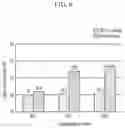 Fig. 07 - Method of manufacturing a color conversion display panel and method of manufacturing a display device including the same
