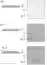 Fig. 02 - Method of manufacturing an electronic component including multiple quantum dots