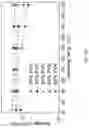 Fig. 09 - Semiconducting polymer blends for high temperature organic electronics