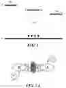 Fig. 02 - Space-through charge transfer compound, and organic light emitting diode and organic light emitting display device including the same
