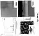 Fig. 09 - Sequential processing with vapor treatment of thin films of organic-inorganic perovskite materials