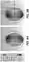 Fig. 07 - Miniaturized UWB bi-planar Yagi-based MIMO antenna system