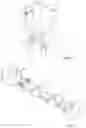 Fig. 04 - Electric adapter