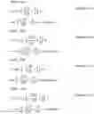 Fig. 89 - Data processing method, precoding method, and communication device