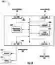 Fig. 09 - Methods and apparatus for the intelligent scrambling of control symbols