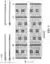 Fig. 09 - Pilot design for OFDM systems with four transmit antennas