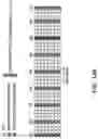 Fig. 22 - Pilot design for OFDM systems with four transmit antennas