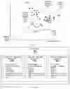 Fig. 05 - Content activation via interaction-based authentication, systems and method