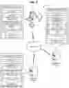 Fig. 02 - Alternate user communication routing