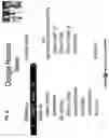 Fig. 20 - Swivel search system