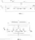Fig. 02 - Pattern-forming microphone array