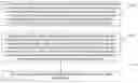 Fig. 01 - Method and device for use in reporting terminal capability