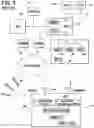 Fig. 04 - Dead zone in small cell application