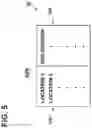 Fig. 06 - Dead zone in small cell application