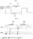 Fig. 02 - Method for reducing power consumption of terminal in mobile communication system using multi-carrier structure