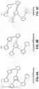 Fig. 07 - Wireless mesh data network with increased transmission capacity