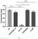 Fig. 02 - METHOD FOR ASSAYING GENETIC VARIANTS