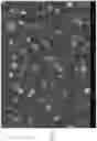 Fig. 06 - Antimicrobial glass compositions, glasses and polymeric articles incorporating the same