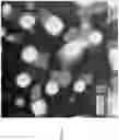 Fig. 07 - Antimicrobial glass compositions, glasses and polymeric articles incorporating the same