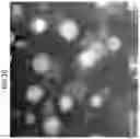 Fig. 22 - Antimicrobial glass compositions, glasses and polymeric articles incorporating the same