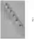 Fig. 02 - Topical mosquito control product