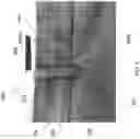 Fig. 07 - Waistband construction