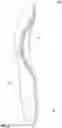 Fig. 07 - Supportive insole