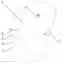 Fig. 01 - Collapsible chair