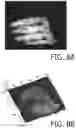 Fig. 09 - Image capturing system and electronic endoscope system