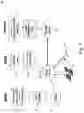 Fig. 09 - Diagnosing system for consciousness level measurement and method thereof