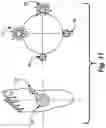 Fig. 12 - Feedback device for improved balance control