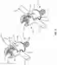 Fig. 06 - Spinal implant system and method