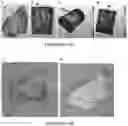 Fig. 02 - Scaffold for nasal tissue engineering