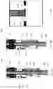Fig. 74 - Cardiac valve delivery devices and systems