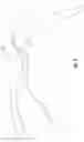 Fig. 07 - BELT WITH INTERNAL DISTRACTION