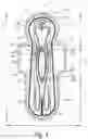 Fig. 02 - Disposable hygiene article