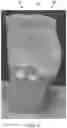 Fig. 07 - Wearable article having elastic belt