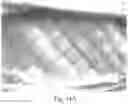 Fig. 45 - Absorbent Articles Having Zones