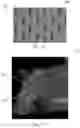 Fig. 76 - Absorbent Articles Having Zones