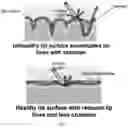 Fig. 02 - Stabilized emulsions with acidic agents