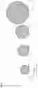 Fig. 07 - Dentifrice formulations having spherical stannous compatible silica particles for reduced RDA
