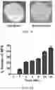 Fig. 06 - Milk-Derived Microvesicle Compositions and Related Methods