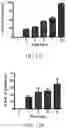 Fig. 07 - Milk-Derived Microvesicle Compositions and Related Methods